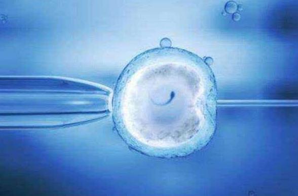 泰国斯蒂文试管婴儿殖中心的IVF实验室怎么样