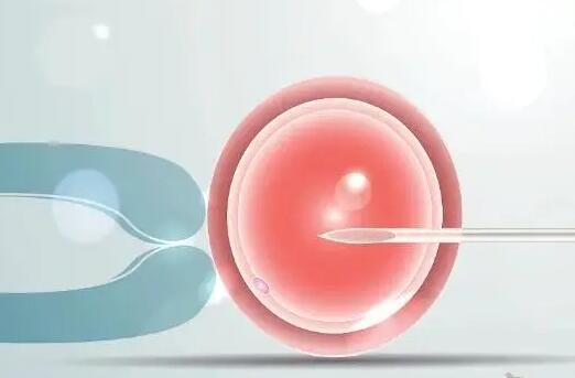 2024年国内试管借卵成本解读助孕殖中心选择指南