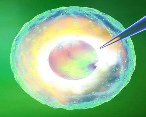 国内代怀公司,二代试管婴儿包生男孩价格一览，附生儿子费用明细！