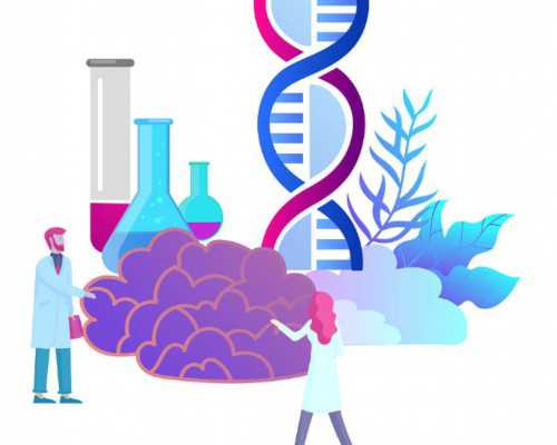 国内供卵机构排名,泰国试管婴儿医院*率真的高吗*率又有多高