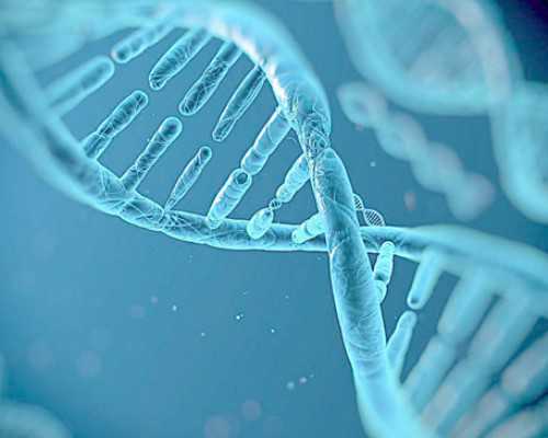 国内供卵中介排名,南昌试管**男孩医院排名附*男孩费用明细