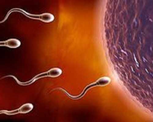 国内供卵机构费用,2026年烟台第三代试管婴儿费用大约多少钱？