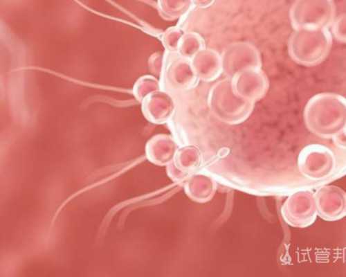 国内供卵不用等的医机构哪些,排卵障碍做试管怀孕几率大吗