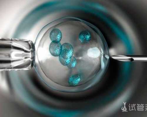 中国试管婴儿提供供卵么,龙凤胎形成过程大揭秘：原因竟然只有一种