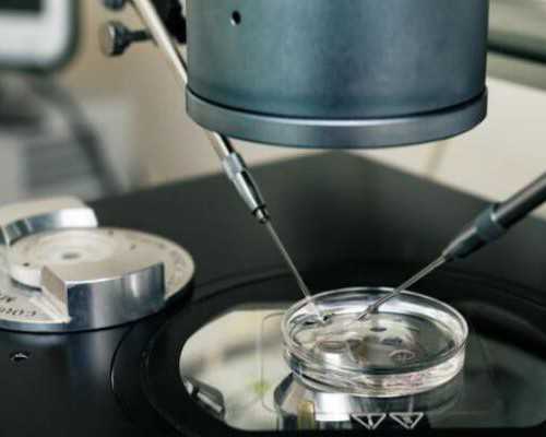 国内代孕需要多少钱,泰国试管婴儿有哪些费用？试管婴儿鲜胚和囊胚的价格