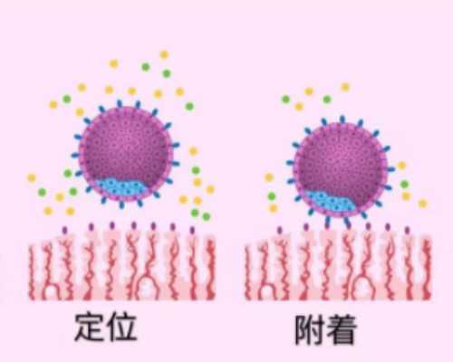 国内地下供卵中心,还在靠酸碱性体质*男*女?别落伍,马来西亚试管婴儿"定制*产"