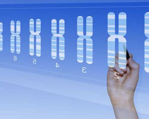 国内试管代生孩子,幼儿园中班语言教案—没有耳朵的兔子及反思