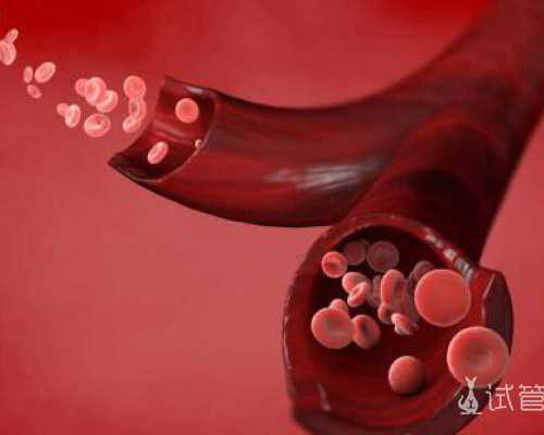 国内私人代怀公司服务,贵阳私立三代试管婴儿医院选性别要花多少钱？十万够吗？