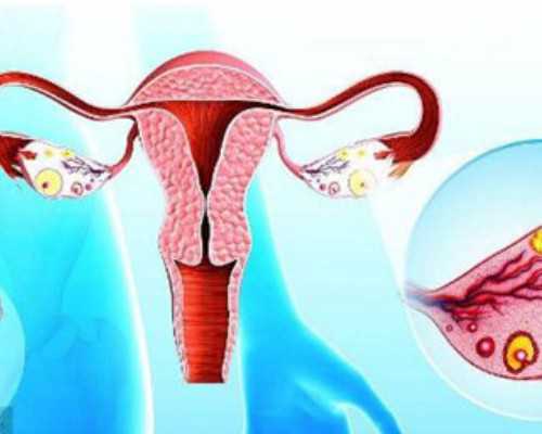 国内供卵中介公司,最后一个日落（关于最后一个日落介绍）