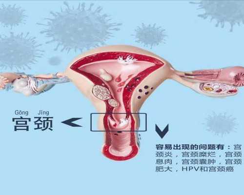 国内三代试管 + 吉尔吉斯斯坦胚胎转运：总价 9 万的性价比方案，供卵代生宝宝