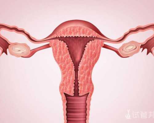 国内供卵做试管怎么样,男方遗传性无精症想*健康宝宝适合做几代试管婴儿三代试管技术最合适