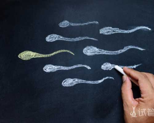 中国有资质的供卵机构有哪些,做试管婴儿挂号怎么挂,做试管怎么挂号挂男科还