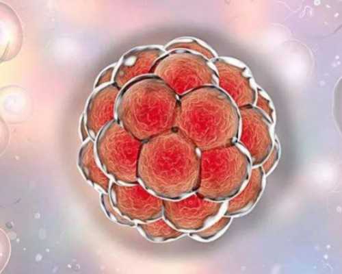 国内供卵机构公司排名,试管婴儿*准备要做些什么？