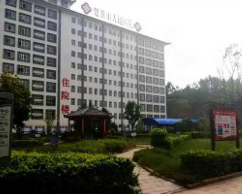 国内第三方代孕公司,2026年做一次借卵试管**费用多少附费用明细