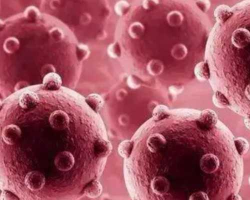 国内代怀包男孩,做试管婴儿的全部流程有哪些