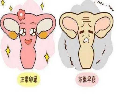 国内私人医院供精供卵,2026年去上海第一妇婴保健院做三代试管多少钱?